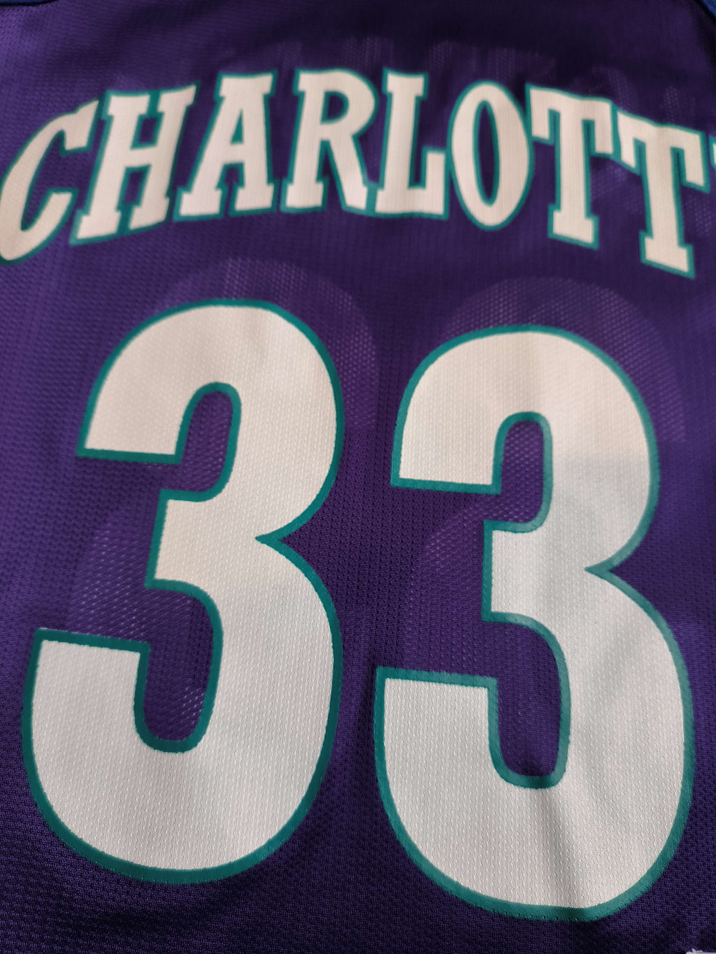 Charlotte Hornets Alonzo Mourning Champion NBA jersey size 36