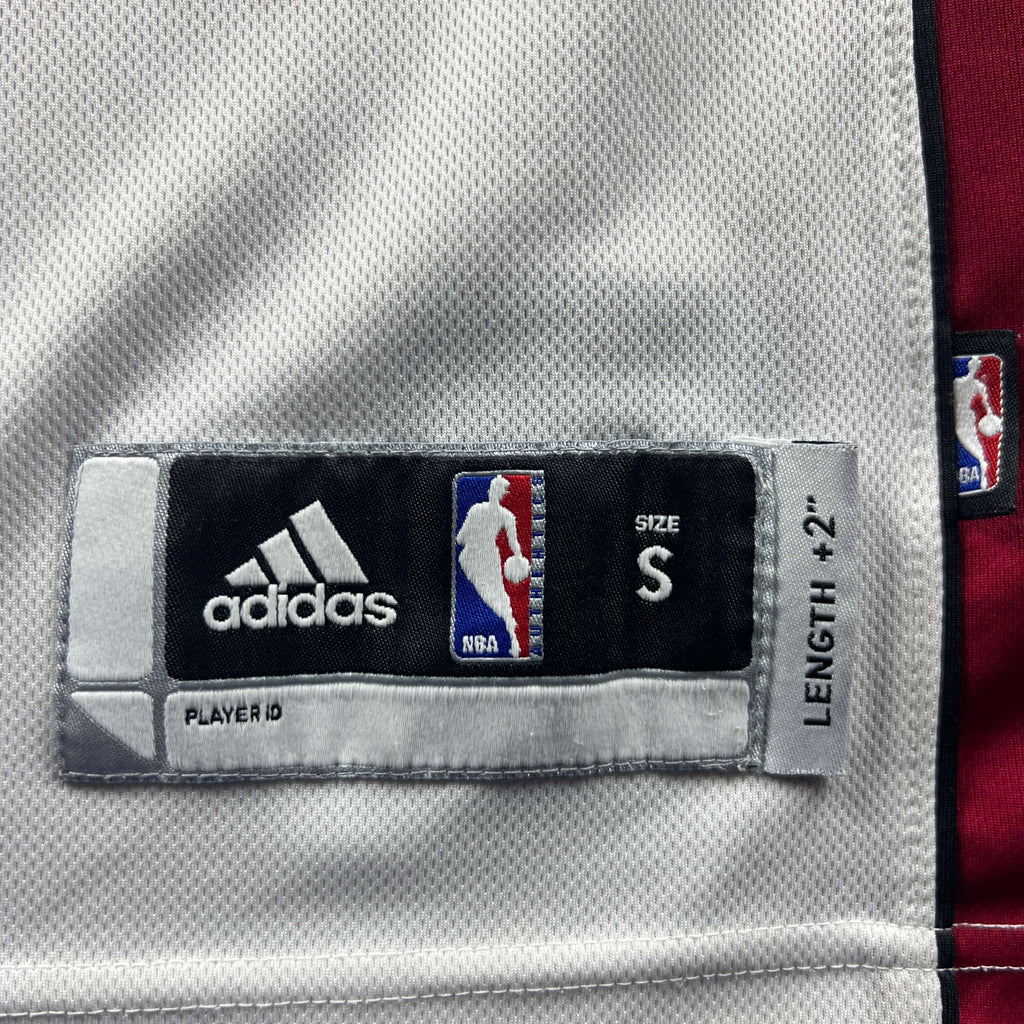 Miami Heat LeBron James Swingman Adidas NBA mez S