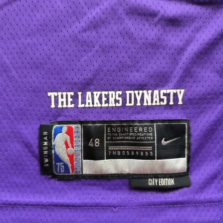 Los Angeles Lakers LeBron James Nike City Edition NBA mez L