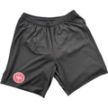 Denmark 2015-16 Adidas home football shorts size S