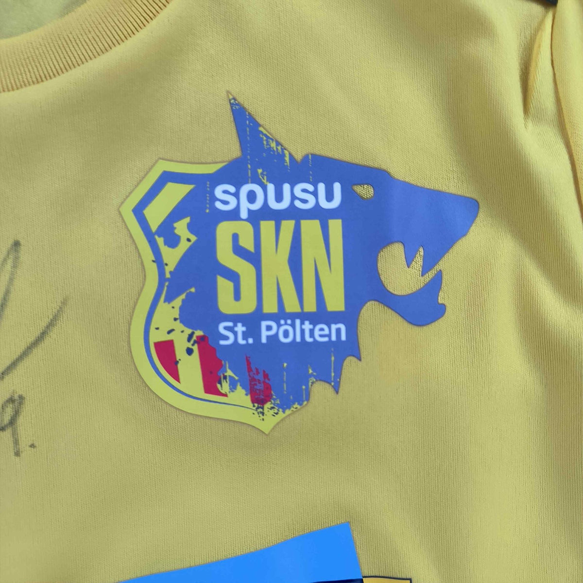 St. Pölten 2019-20 Macron training *Signed* football shirt size XS