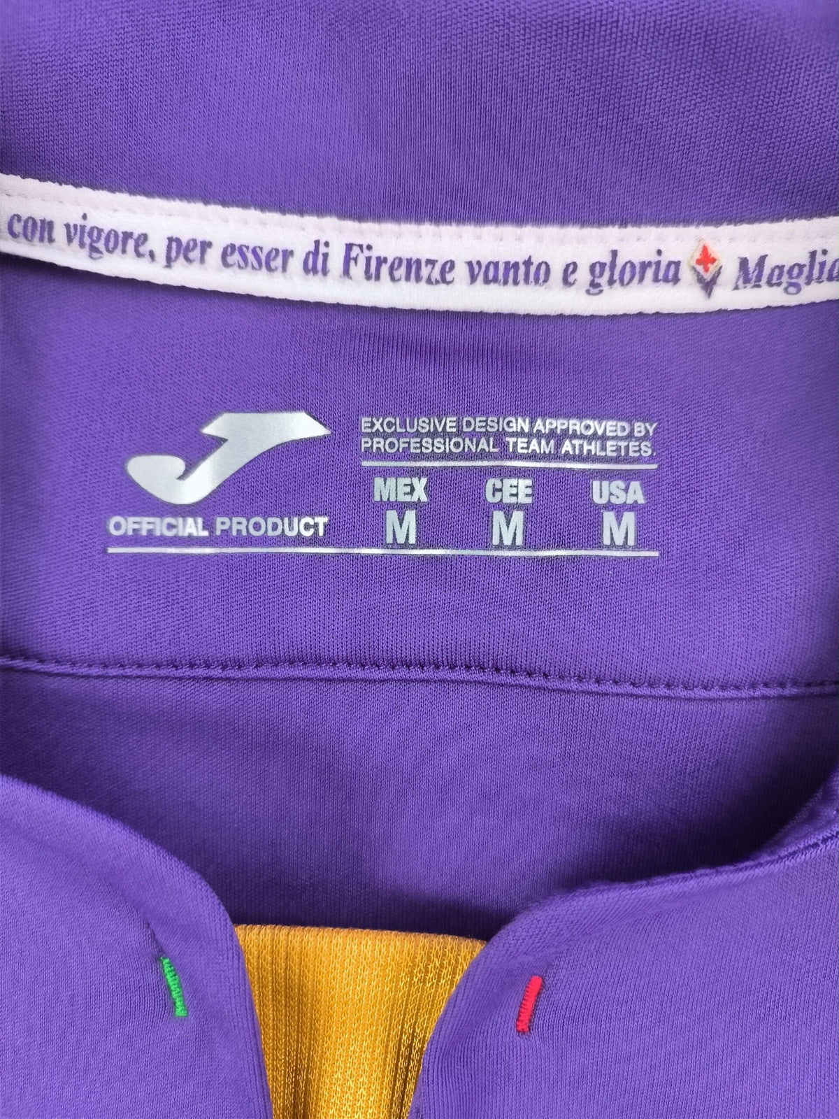 Fiorentina 2013-14 Joma european hazai foci mez M-es