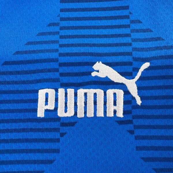 Switzerland 2022-24 Puma goalkeeper Philipp Köhn football shirt size L