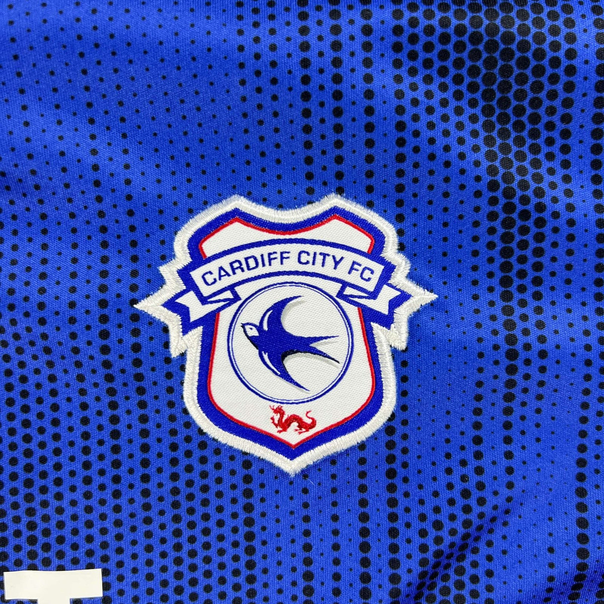 Cardiff City 2019-20 Adidas home football shirt size M