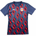 Red Bull Salzburg 2024-25 Puma pre-match training football shirt size S