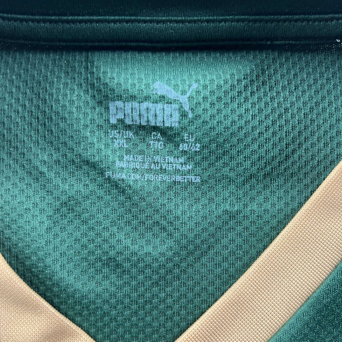 Plymouth Argyle 2023-24 Puma home football shirt size XXL