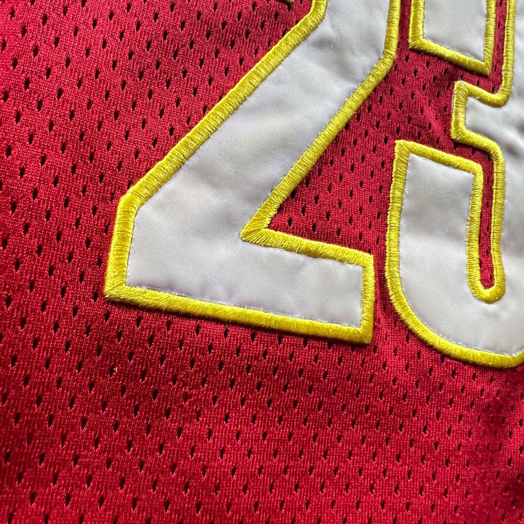 Cleveland Cavaliers LeBron James Majestic NBA jersey size XL/XXL