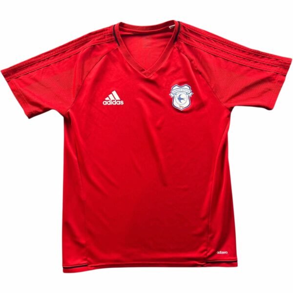 Cardiff City 2017-18 Adidas training foci mez M-es